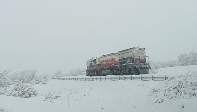 Elazığ'da lokomotifin hemzemin geçitte çarptığı otomobilin sürücüsü yaralandı