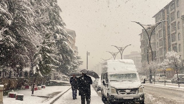 Bitlis'te kar etkili oldu