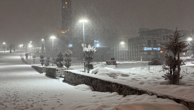 Erzurum'da yoğun kar yağışı etkili oluyor