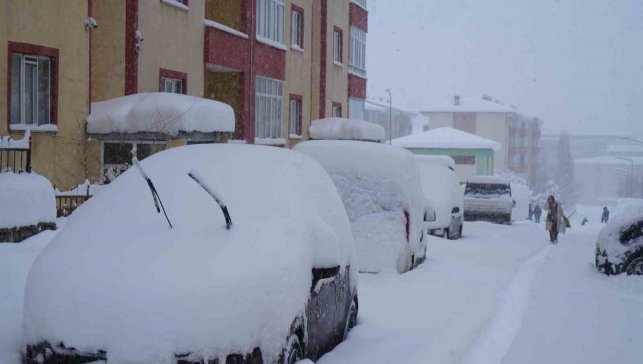 Kar yağışı Erzurum'u felç etti, okullar tatil, kar kalınlığı 50 santimetreyi geçti, bin 167 köy yolu ulaşıma kapalı