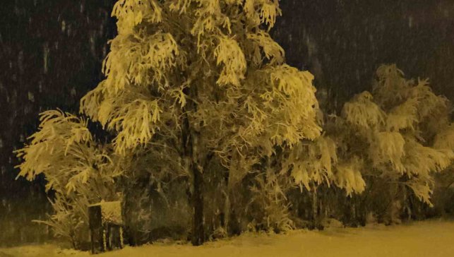 Adilcevaz'da kar yağışı beraberinde güzel görüntüler getirdi