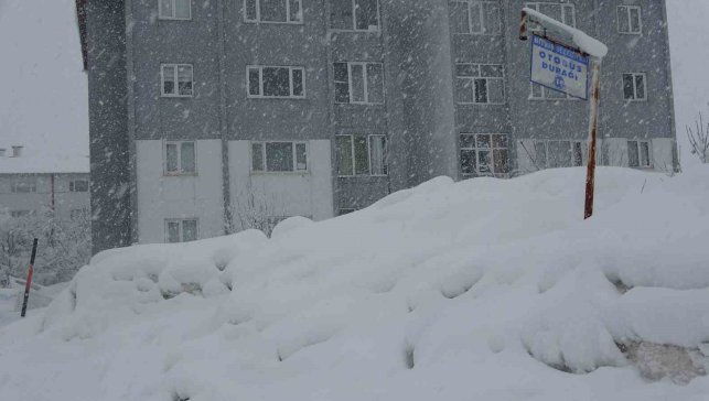 Bitlis'te 304 köy yolu kar nedeniyle ulaşıma kapandı