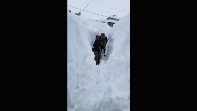 Ovacık'ta besicilerin zorlu kış mesaisi: Hayvanları suya götürmek için metrelerce kalınlıktaki karı kürekle temizlediler