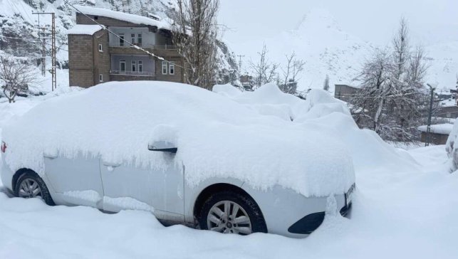 Hakkari'de 210 yerleşim yerinin yolu kapandı