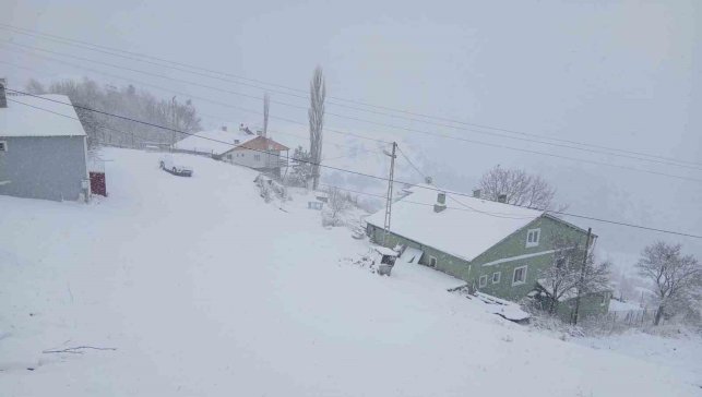 Posof'ta kar esareti