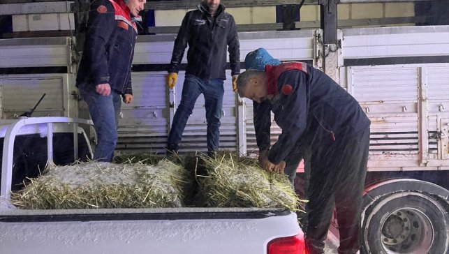 Erzurum’da yolda kalan tırlardaki hayvanlar beslendi