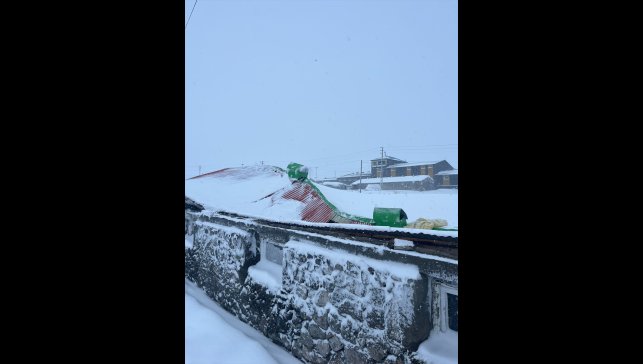 Kars'ta biriken kar nedeniyle çöken iki ahırdaki 4 büyükbaş hayvan telef oldu