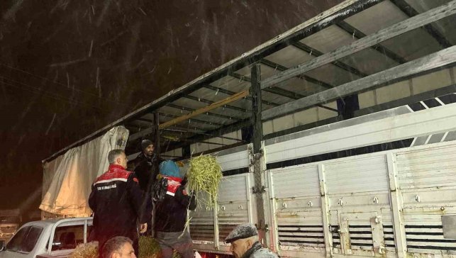 Hayvanlar aç kalmasın diye imdada yetiştiler