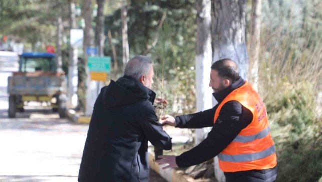 Elazığ Belediyesi'nden vatandaşlara ücretsiz fidan desteği