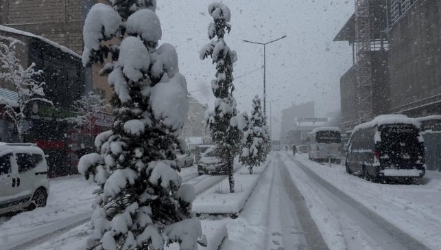 Bahar Bekleniyordu: Patnos Bir Gecede 40 Santimetre Karla Beyaza Büründü