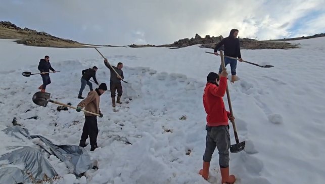 Ağrı Dağı eteklerinde kar depoluyorlar, hayvanlar için suyu böyle sağlıyorlar