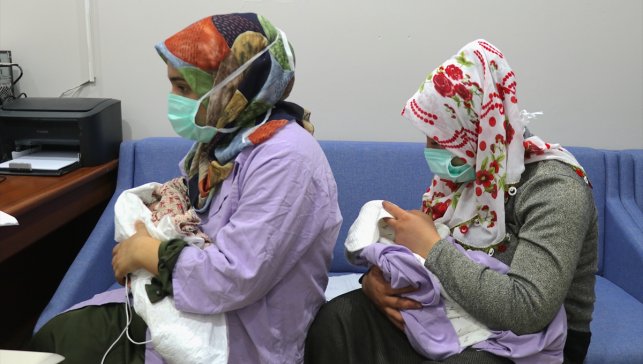 Van’da emzirme desteğiyle dikkat çeken başarı: 88 bebek yeniden anne sütüne nasıl geçti?