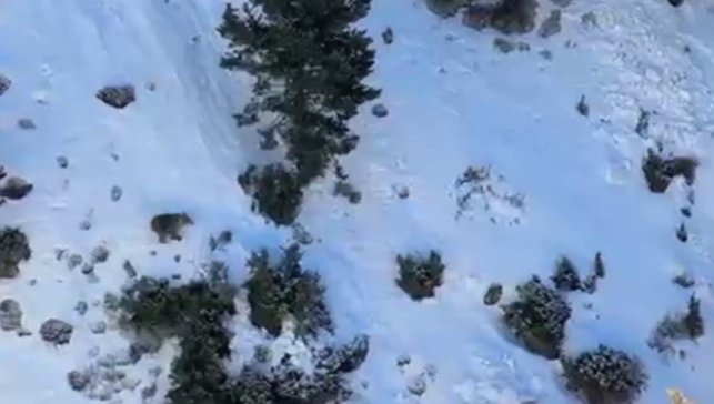 Uzundere'de buz tırmanışında ayı paniği