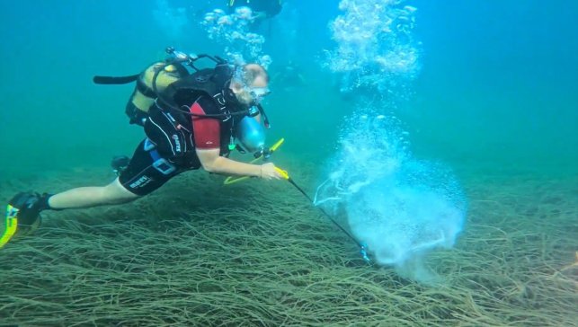 Garanti BBVA ve TURMEPA Mavi Nefes Projesi ile deniz çayırlarını koruyor