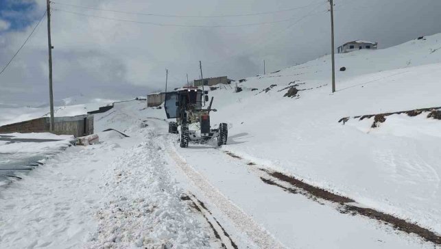 İl Özel İdaresi'nden yoğun kar mesaisi: Kapalı köy yolu kalmadı