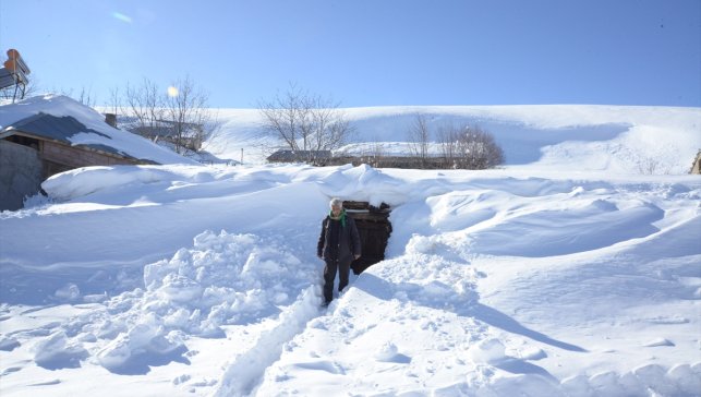 Muş'ta karla kaplı köyde yaşayanlar, zorlu kış koşullarına göğüs geriyor