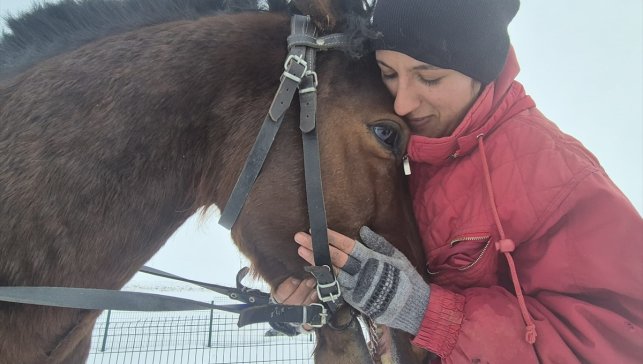 Kars'ta kadın binici, tayken alıp büyüttüğü atıyla yarışlara hazırlanıyor