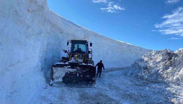 Muş'ta kapanan tüm köy yolları ulaşıma açıldı