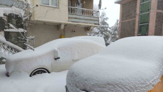 Ardahan'da kar yağışı yeniden başladı