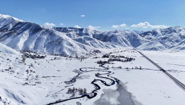 Van, Muş ve Bitlis'te kar nedeniyle 62 yerleşim yerine ulaşım sağlanamıyor