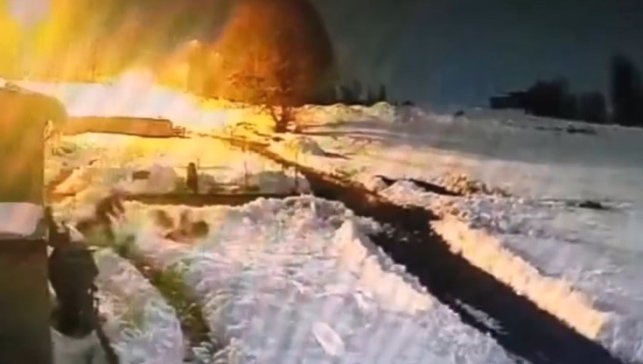 Kars'ta kurt sürüsünü kürekle kovalayan vatandaş kamerada