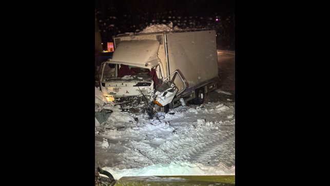 Erzurum'da iki kamyonetin çarpıştığı kazada sürücülerden 1'i öldü, diğeri yaralandı