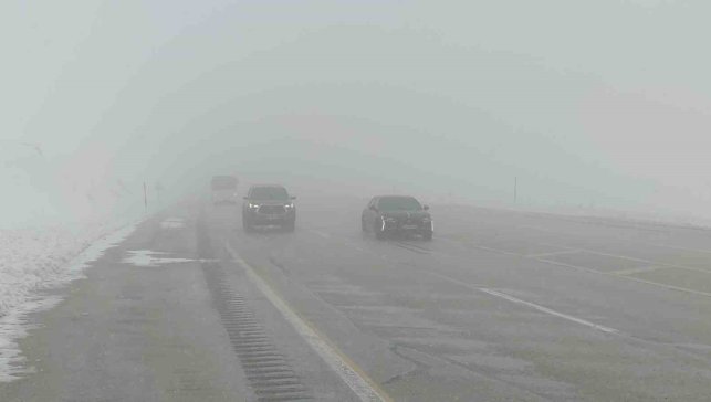 Van'da sis ve kar yağışı yüksek kesimlerde etkiliyor