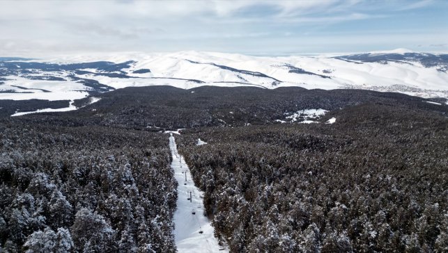 Kars'ta beyaza bürünen sarıçam ormanları dronla görüntülendi