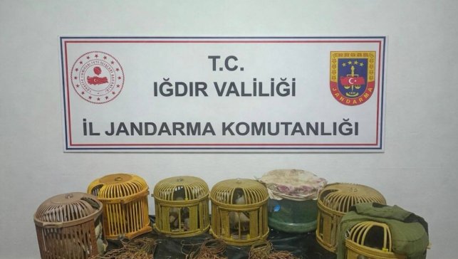 Iğdır'da kaçak keklik avcılarına 175 bin TL ceza