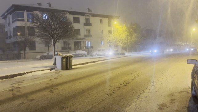 Erzincan'da kar yağışı