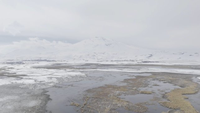 Süphan Dağı’nın karlı zirvesiyle Sarısu sazlıklarında kartpostallık manzara