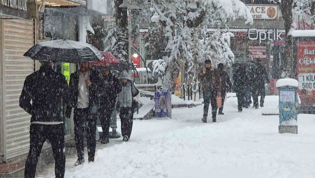 Van'da Mart sürprizi: Bahar beklerken kar kapıya dayandı