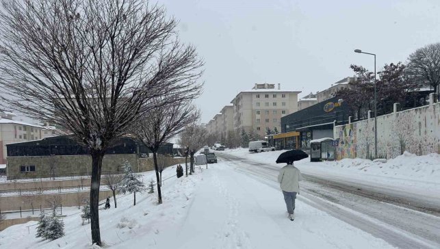 Van'da mart ayı kapıdan baktırdı: Kar yağışı ulaşımı durdurdu