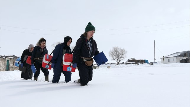 Kars'ta kadın veterinerler hayvan sağlığı için kar kış demeden sahada