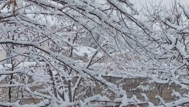 Erciş'te mart ayında kar yağışı