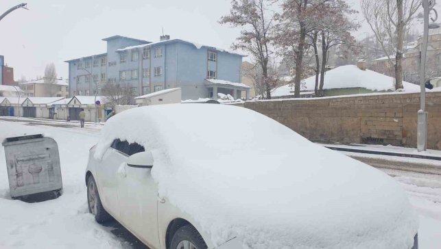 Başkale'de kar yağışı