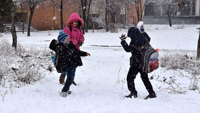 Ağrı'nın iki ilçesinde köy okullarında ve taşımalı eğitime bir gün ara verildi