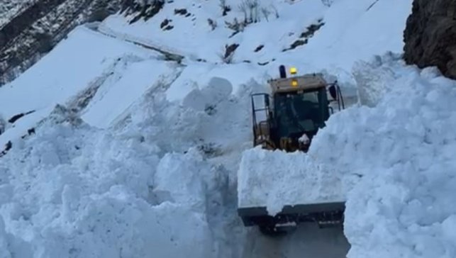 Hizan'da köy yoluna çığ düştü