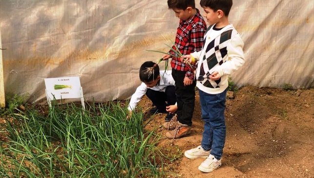 Keban'da öğrenciler serada üretim yapıyor 