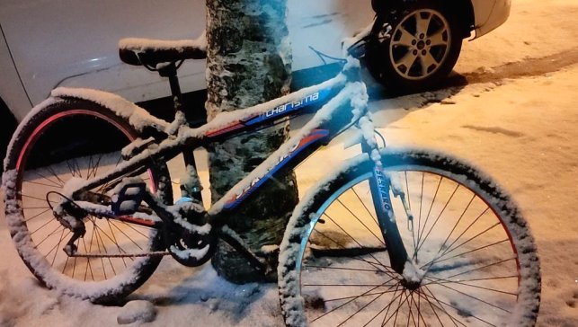 Ardahan'da kar yağışı etkili oldu