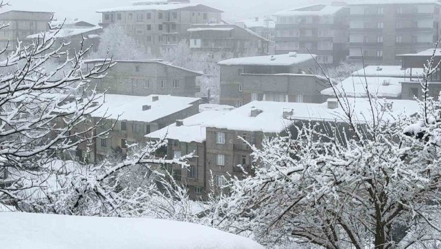 Hakkari'de kar yağışı