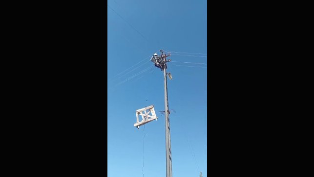 Aras Elektrik'ten doğa dostu adım: Fırtınada zarar gören leylek yuvaları yeniden yerine yerleştirildi