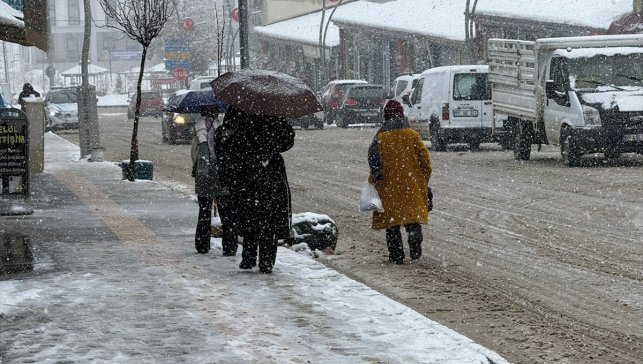 Van'ın Başkale ilçesinde kar etkili oldu