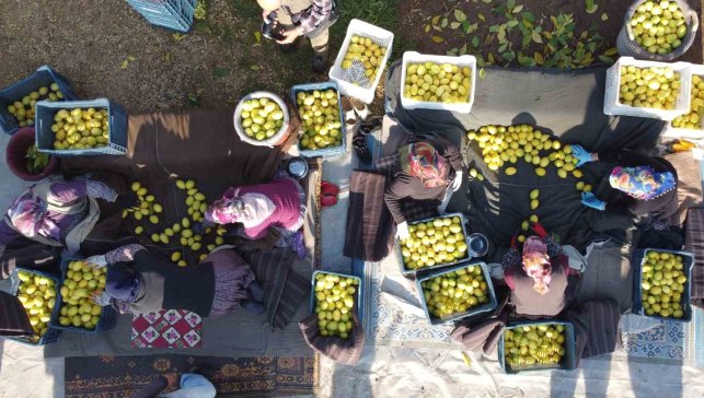 Tarım-ÜFE yıllık yüzde 40,10 arttı