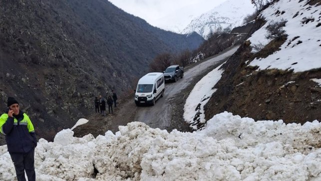 Çatak'ta çığ düştü: 1 mahalle ve 8 mezraya ulaşımı sağlanamıyor