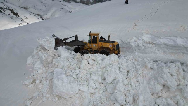 Bitlis'te 5 metreyi bulan karda yol açma çalışması