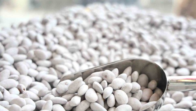 Elazığ'ın 'Beyaz altını' badem şekeri