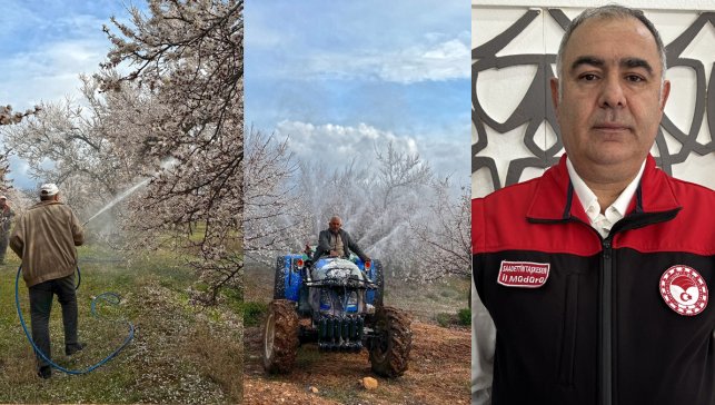 Elazığ'da Çiçeklenen Kayısı Bahçelerinde Monilyaya Karşı İlaçlama Başladı