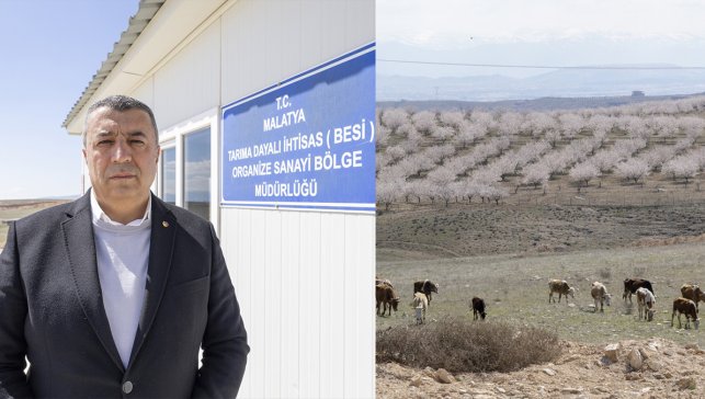 Malatya’da Kurulan Besi OSB, Yılda 50 Bin Büyükbaşla Kırmızı Et Arzına Katkı Sağlayacak