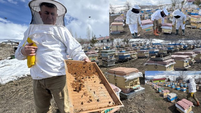 Ardahan’da kovanlar kayıpsız bahara çıktı, bal üreticileri 2026 sezonuna umutla başladı